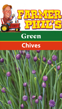 Green Chives