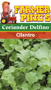 Coriander Delfino Cilantro