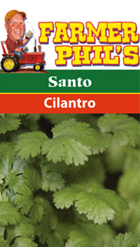 Santo Cilantro