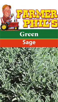 Green Sage