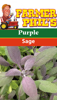Purple Sage