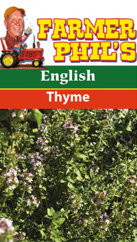 English Thyme