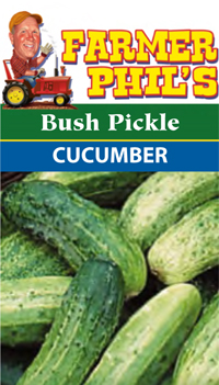 Bush Pickle Cucumber