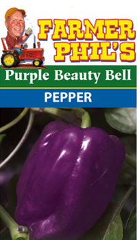 Purple Beauty Pepper