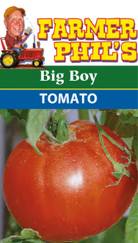Big Boy Tomato