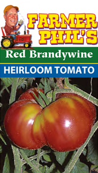 Heirloom Red Brandywine